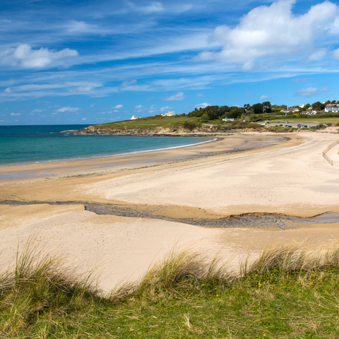 Daymer Bay Dog Friendly