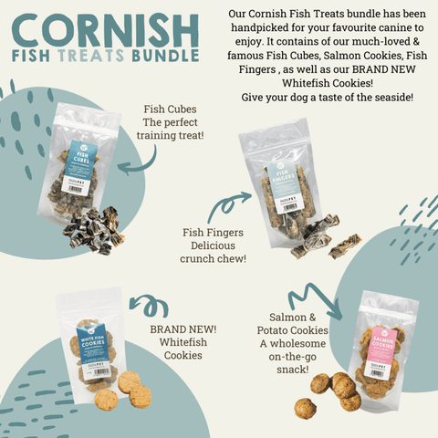 Cornish Fish Selection Box for dogs by Natural Cornish Pet