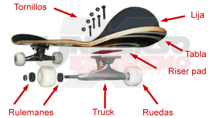 Cuáles son las partes de la tabla de skate?