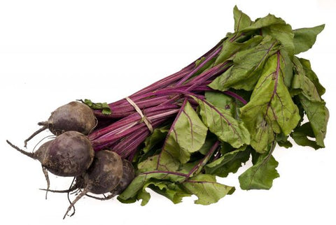 beetroot beet plants