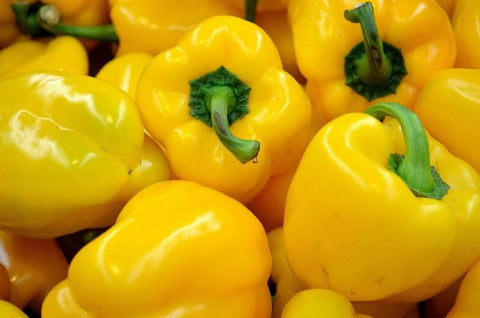 close up yellow pepper