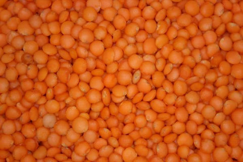 close up red lentils