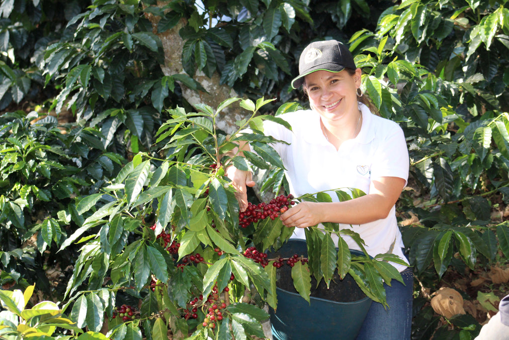 Ana Mildred Munoz posing with a coffee tree