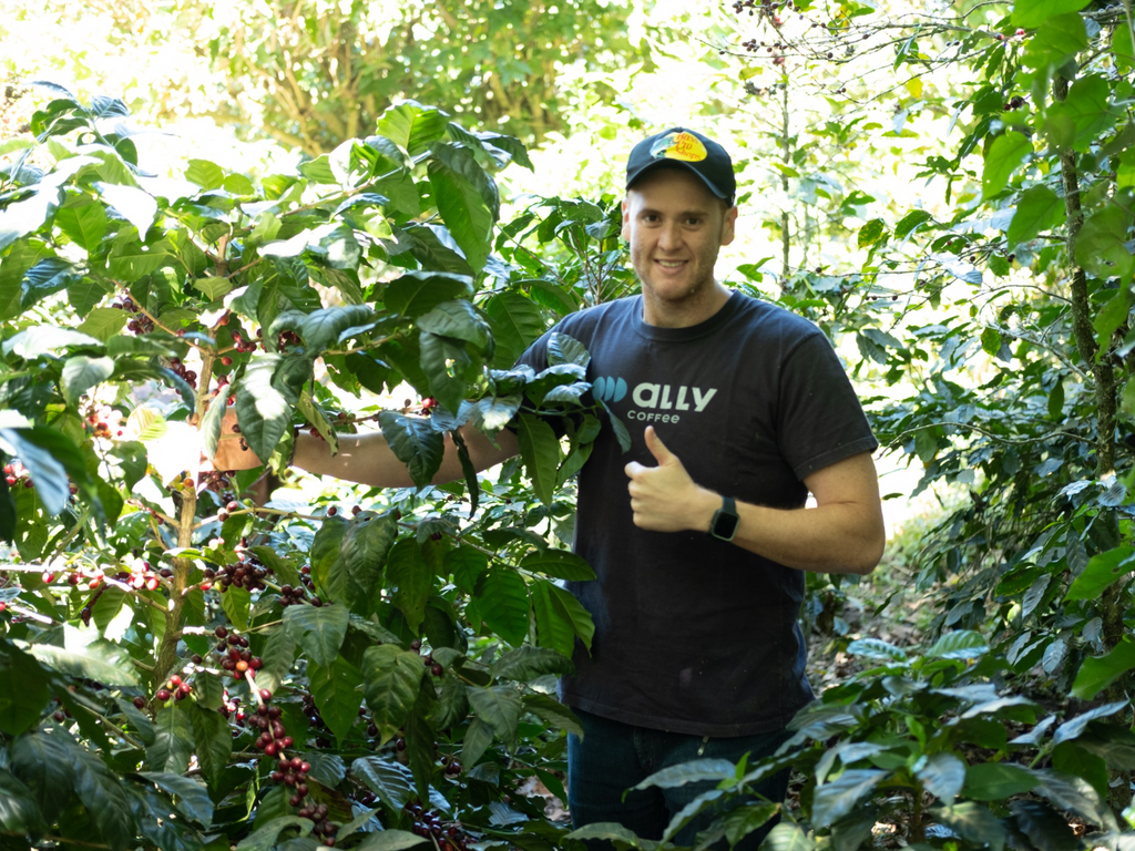 Andres Acosta giving a thumbs up with a coffee tree