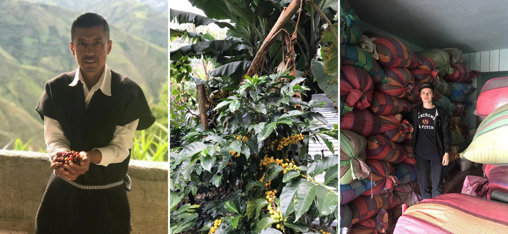 Producer Fernando Chasoy. Coffee ripening. Elena Lokteva, Ally’s buyer for Colombia, at the Aponte warehouse.