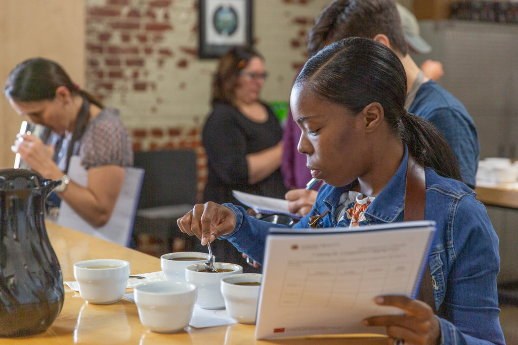 People Assessing Coffees During a Q Processing Course