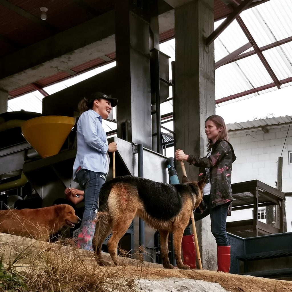 Liliana Caballero Rojas and Elena Lokteva at the coffee processing mill