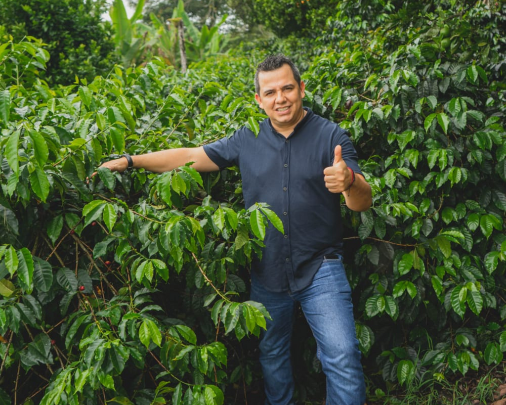 A man standing with a thumbs up sign with lush green coffee plants