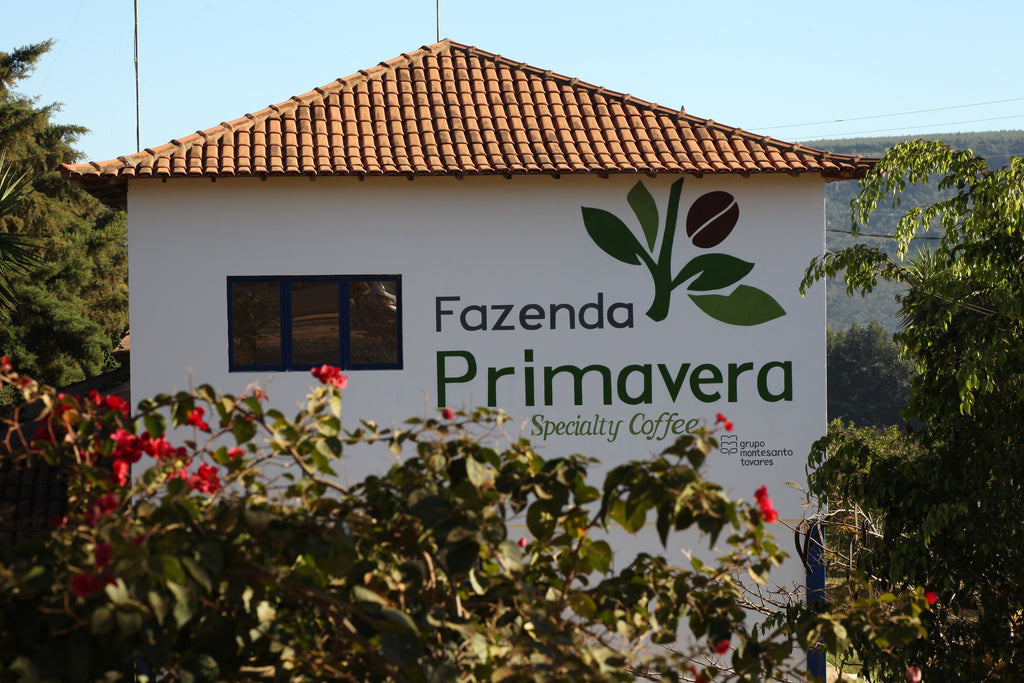 Fazenda Primavera