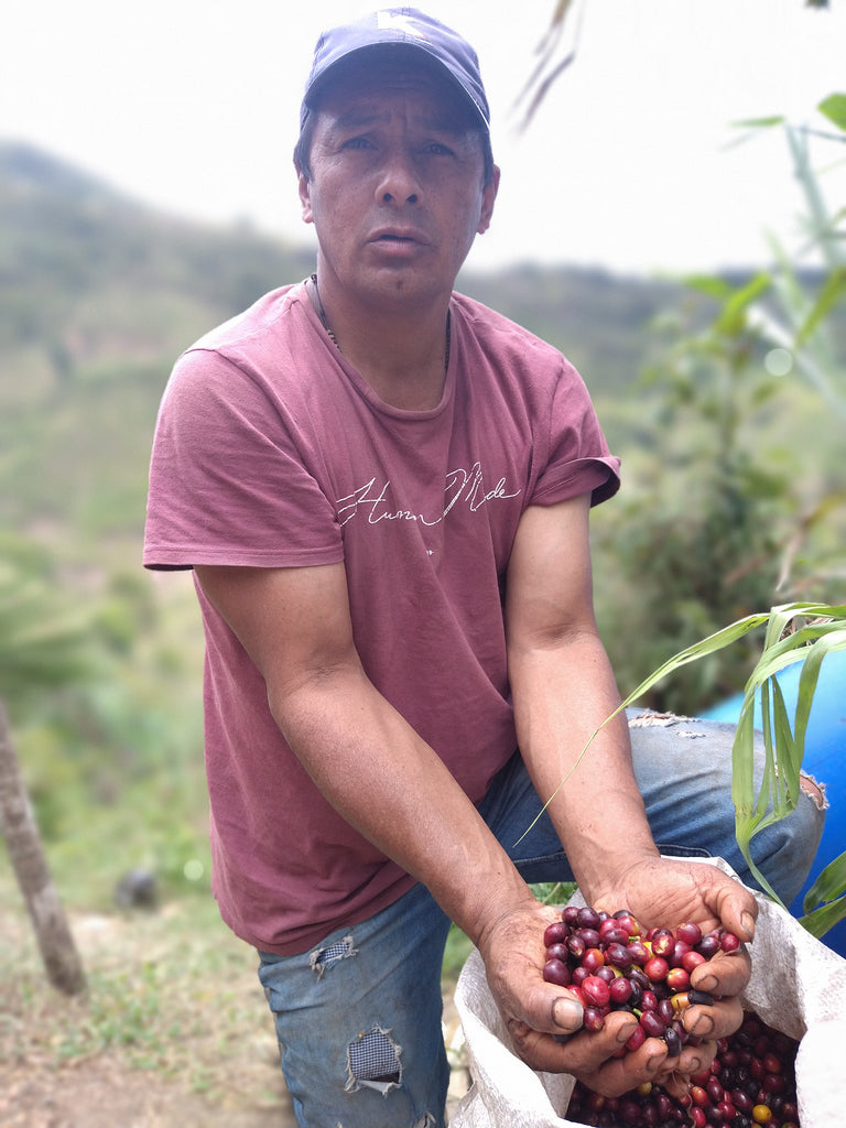 Fidencio Castillo at his Finca El Pedregal