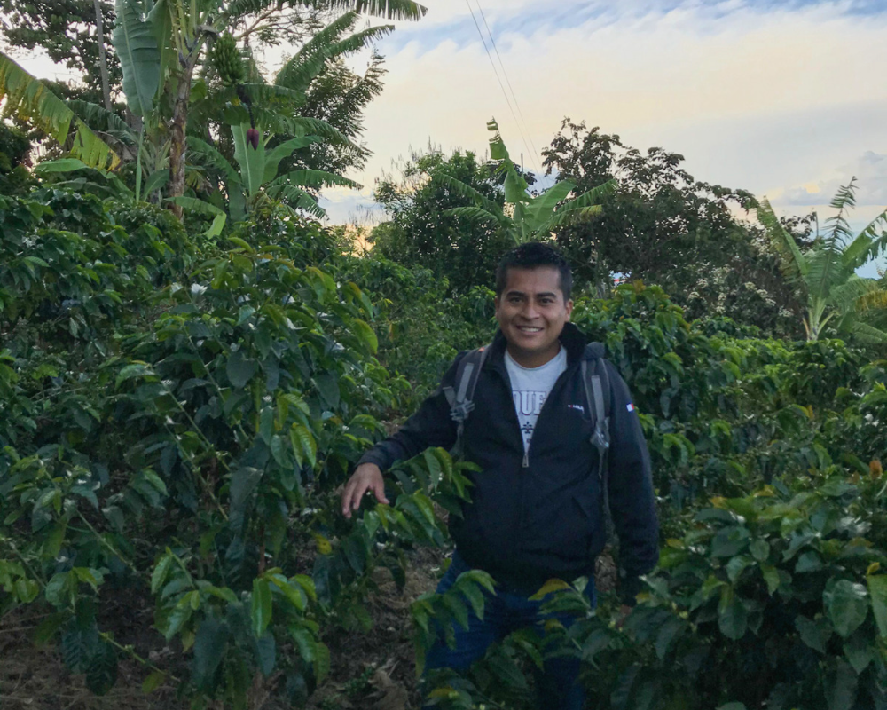 Frank Torres Rivas at Finca La Indonesia