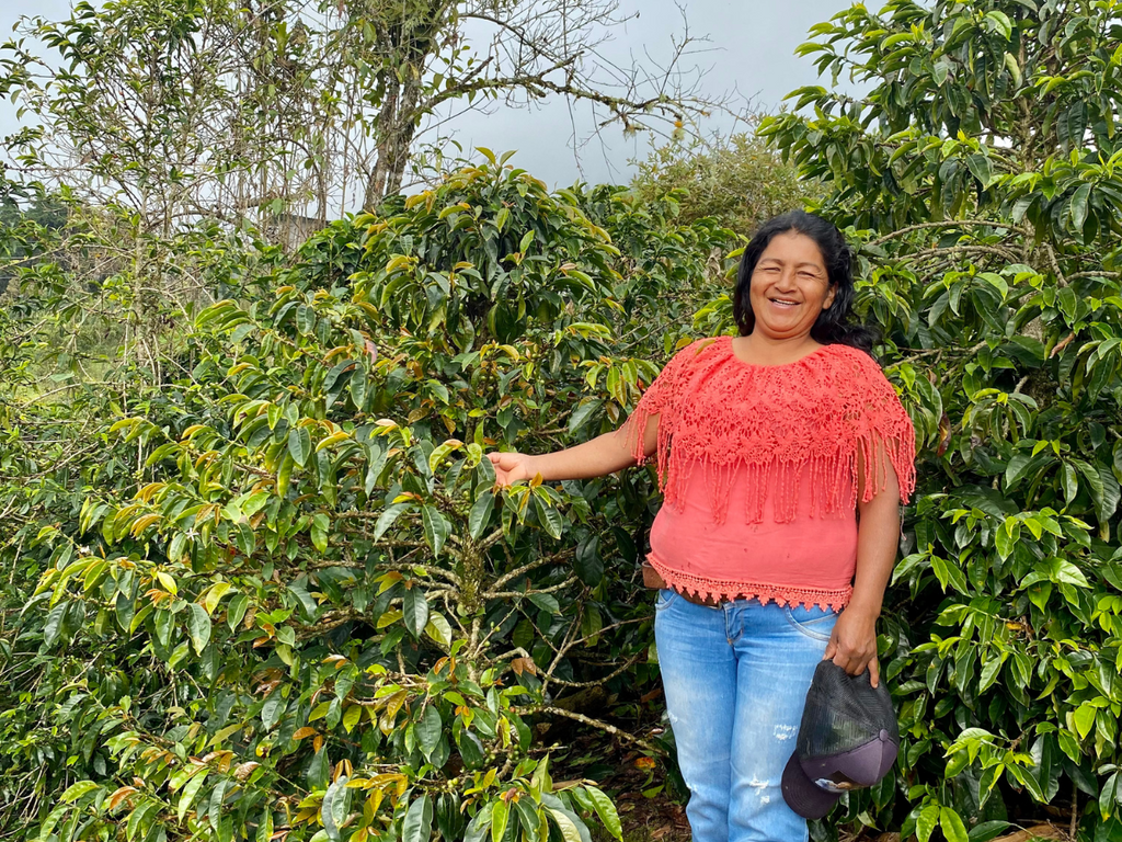 A coffee producer wearing a salmon colored shirt and jeans standing next to one of her coffee plants