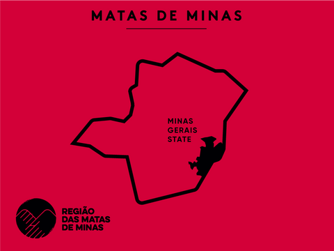 REGIOES VS2 Matas de Rondônia — Casa Brasil Coffees