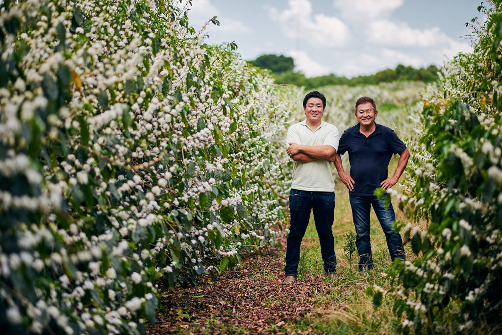 Anderson and Getulio Minamihara among flowering coffee trees