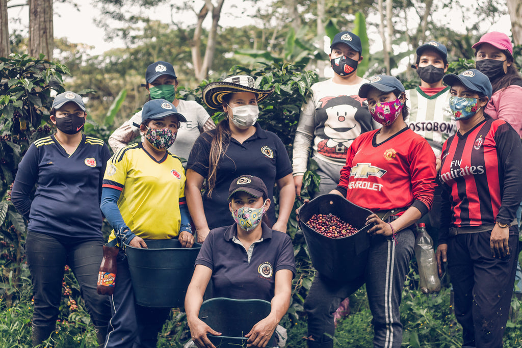 10 women coffee producers wearing facemasks, some with ripe coffee cherries in harvest buckets, posing in front of lush coffee trees with ripening coffee