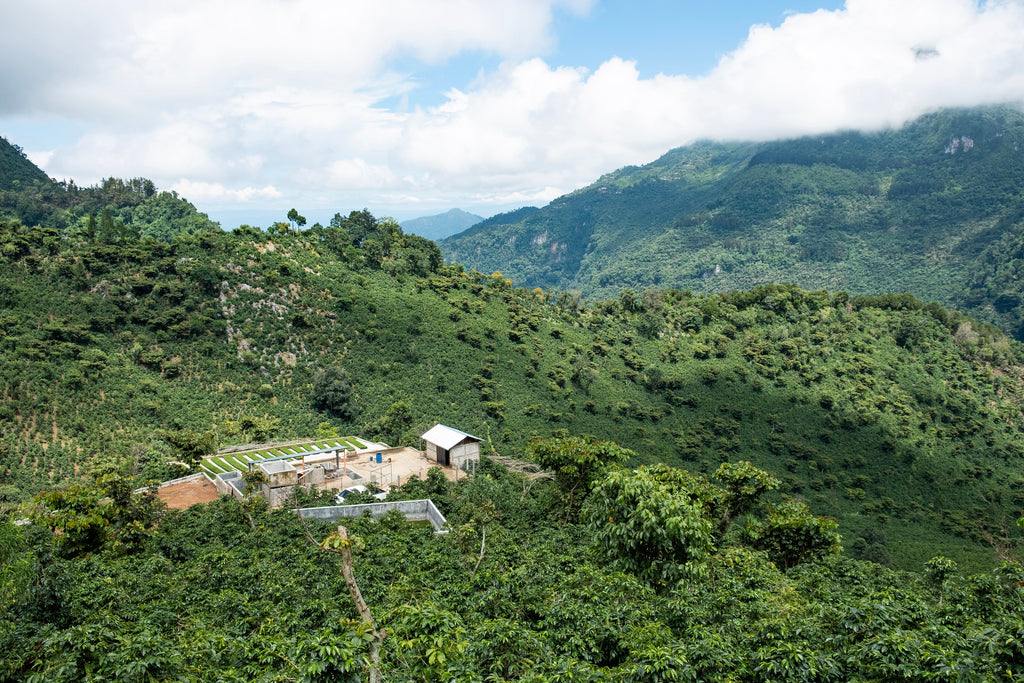 Coffee processing mill in the mountains of Huehuetenango, Guatemala