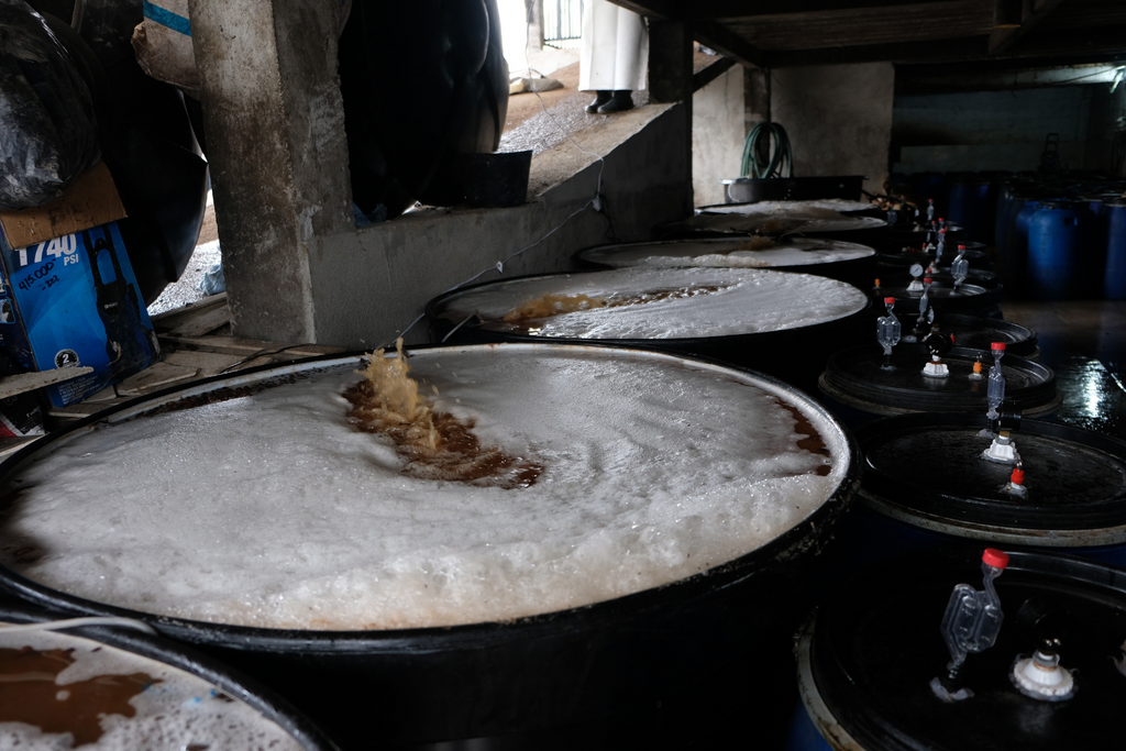 Coffee undergoing co-fermentation at Finca La Loma