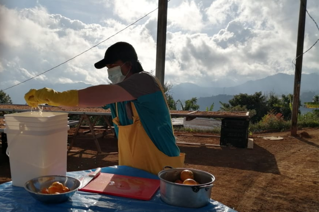 Preparing fresh citrus fruits for co-fermentation at La Mona Micromill