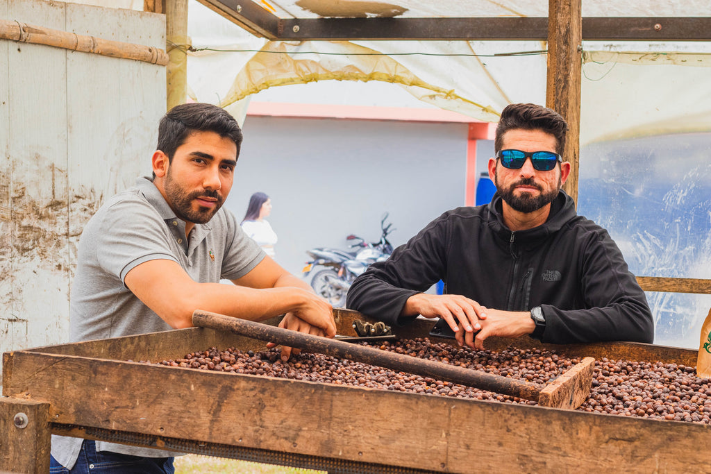 Two men standing behind a raised coffee drying bed