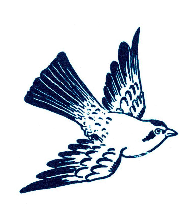 Tattly Carolina bird tattoo