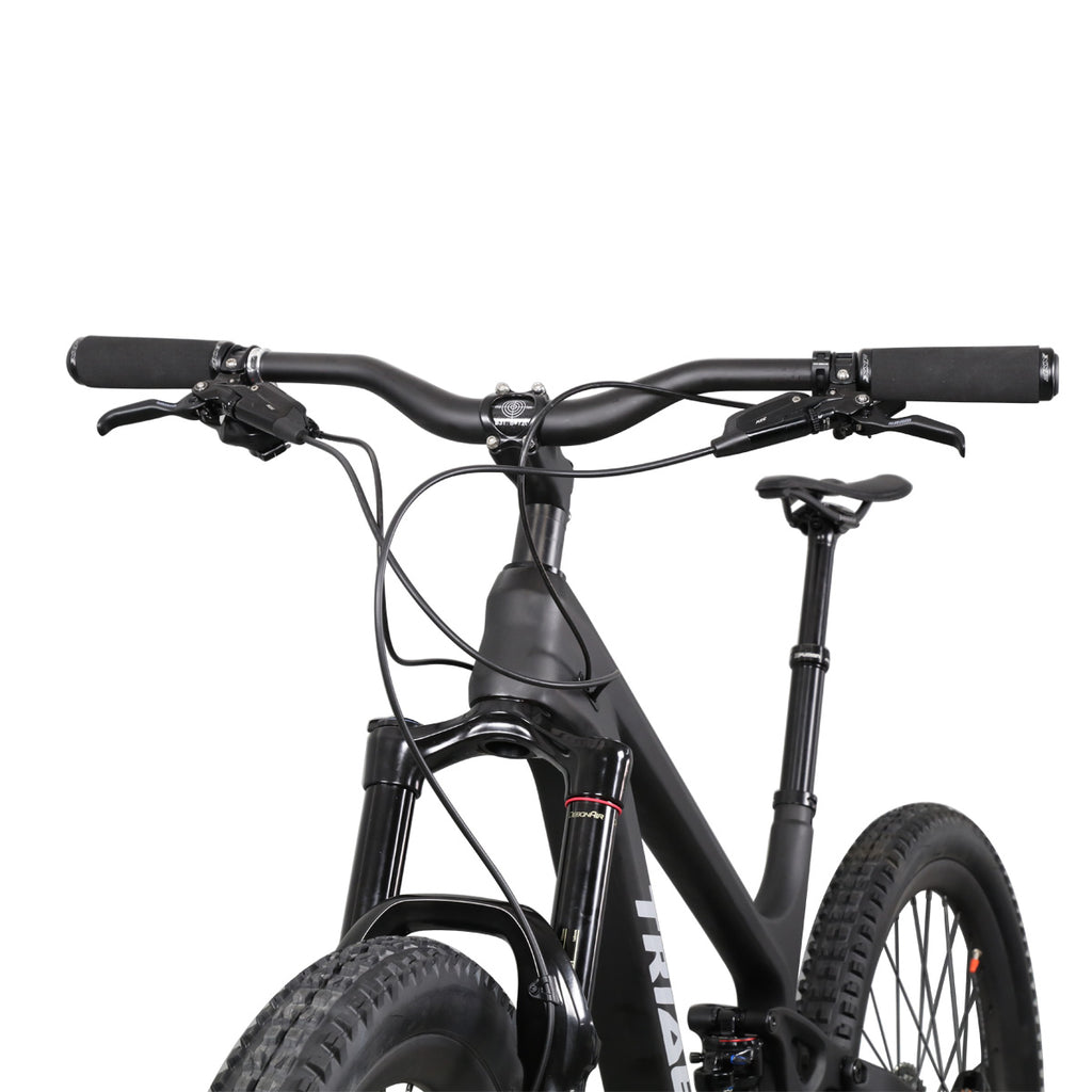 mountain bikes online