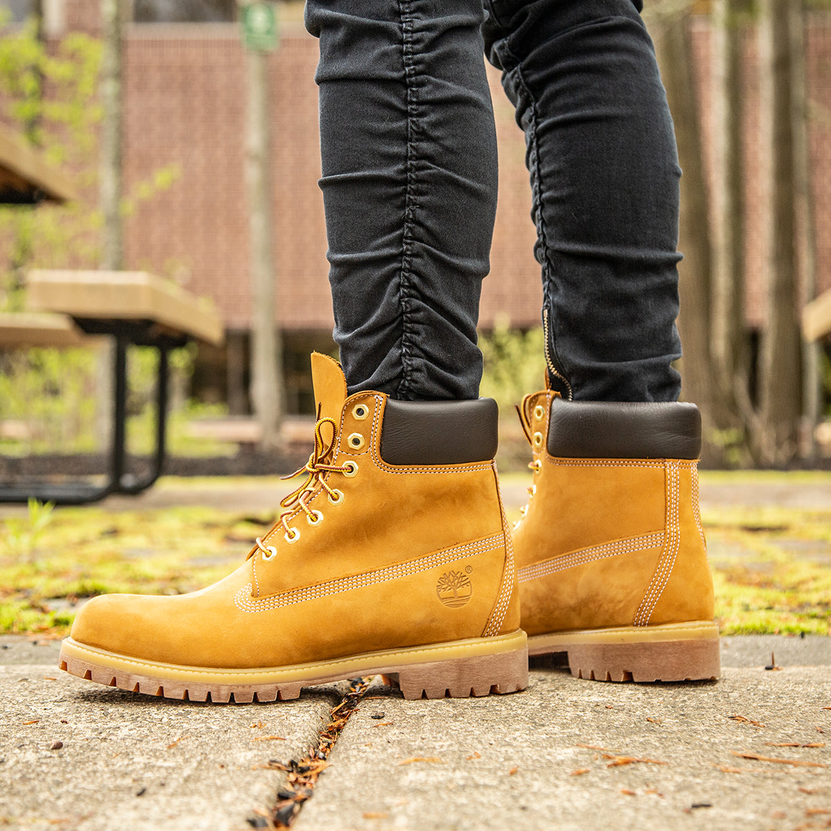 Timberland Icon 6-Inch Boots Wheat Nubuck Chicago City