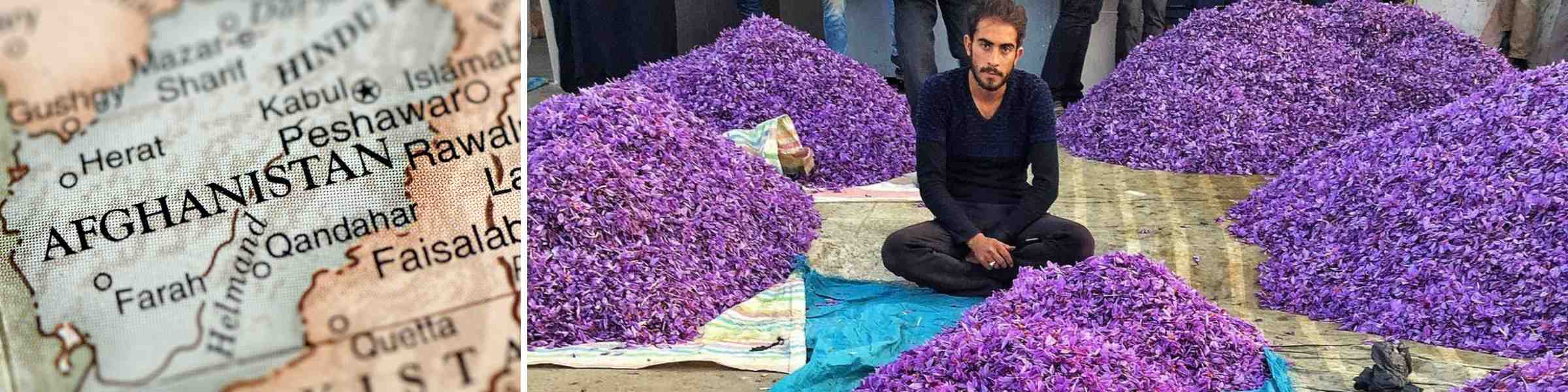 Afghan Saffron