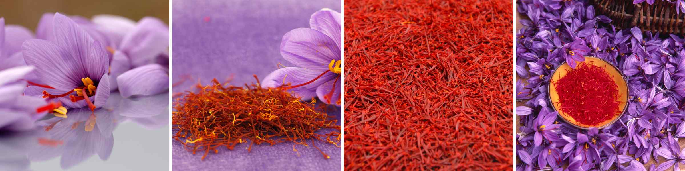 Exploring the Distinction: Persian Saffron vs. World Varieties