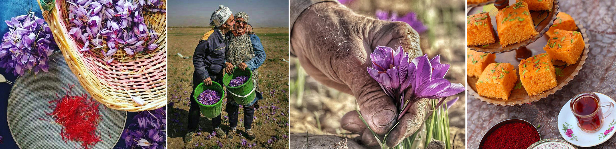 Happy Saffron Farmer and Saffron Tea