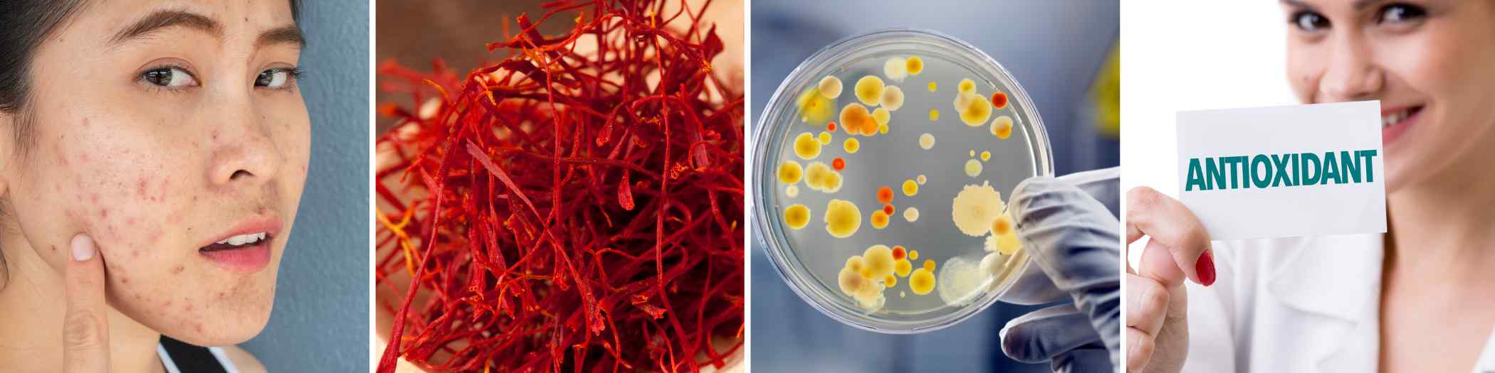 Saffron and Its Properties