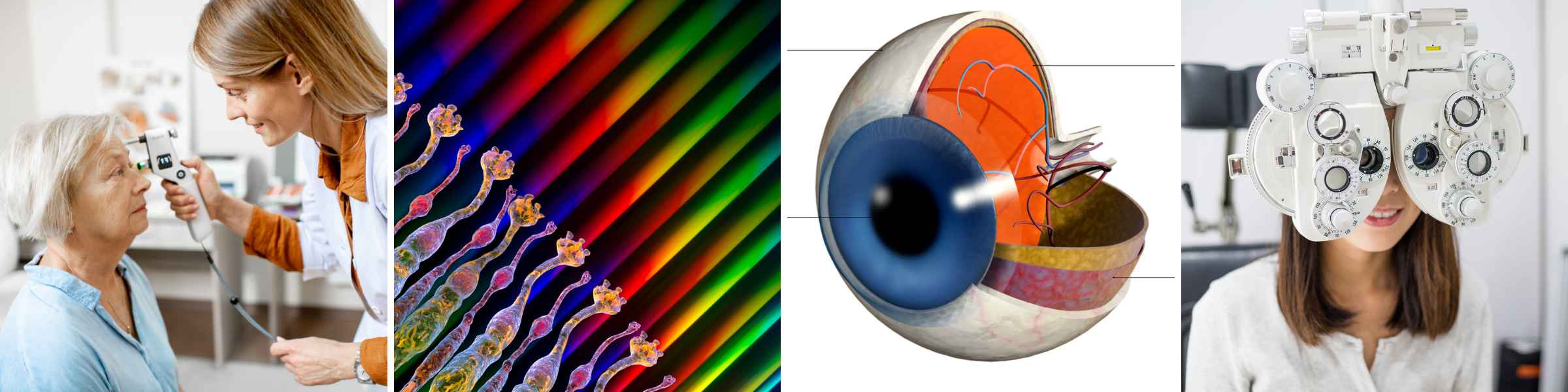 Saffron's Magic in Eye Health