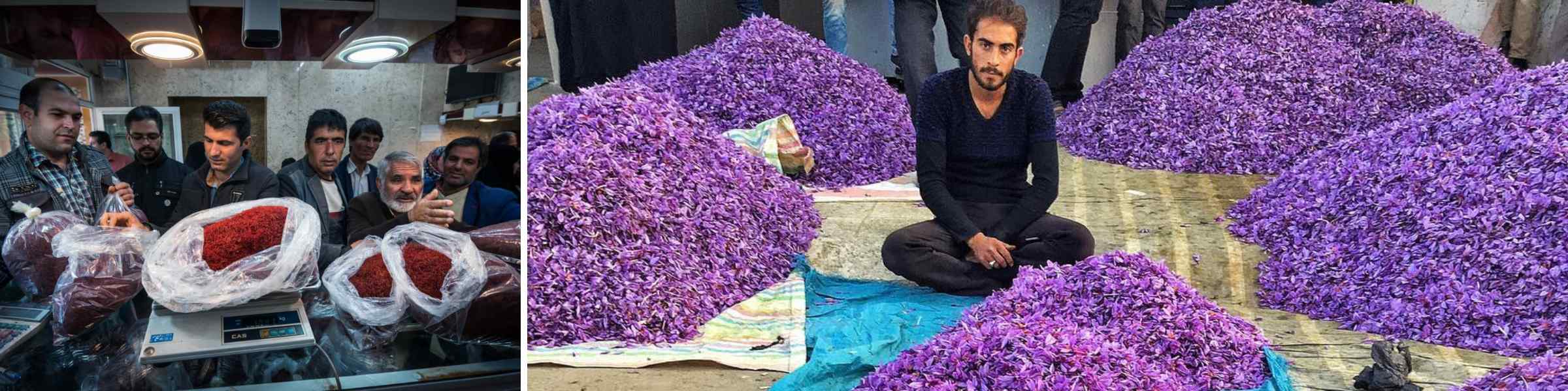 The Economic Impact of Saffron in Iran