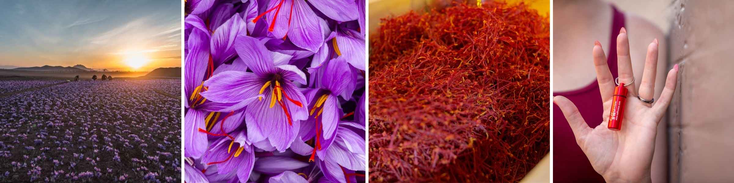 The Versatile Virtues of Saffron