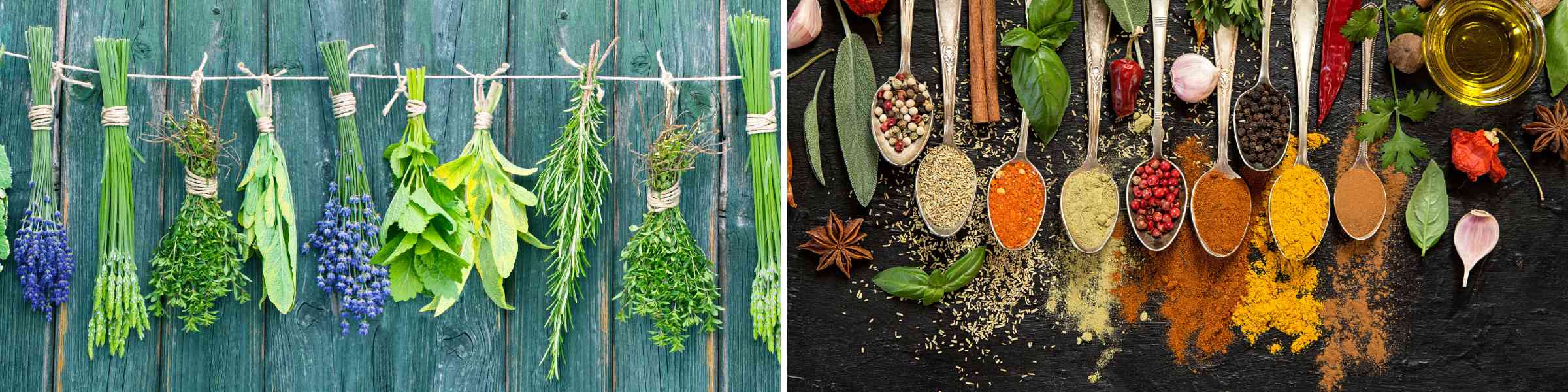 different between herbs and spices