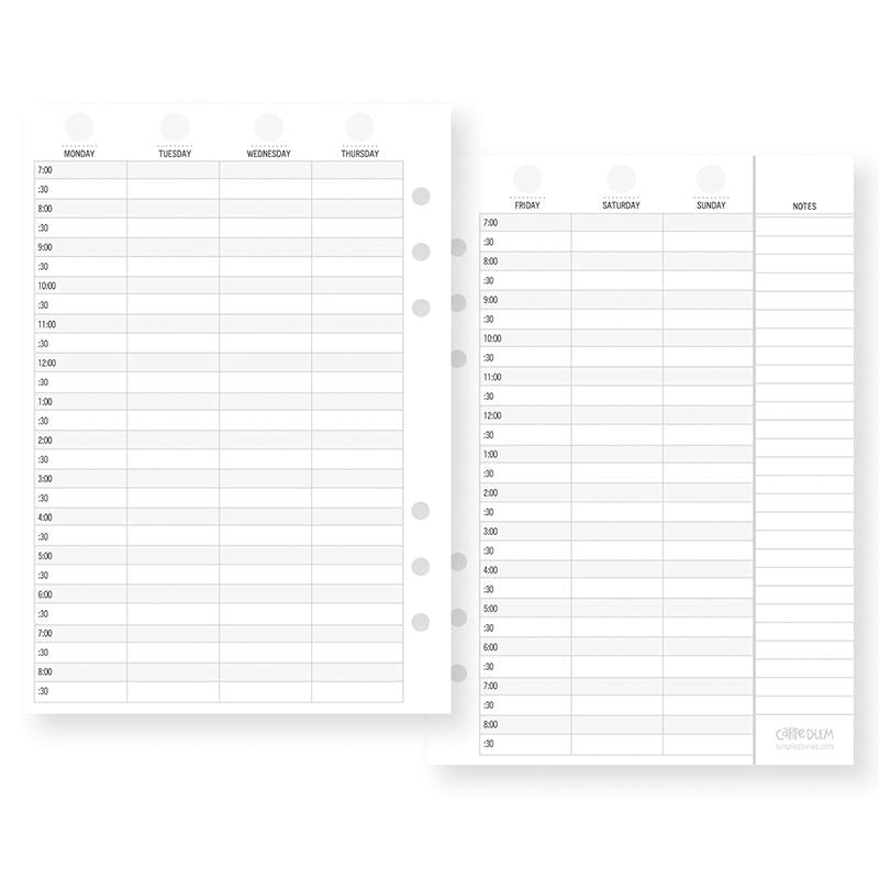 Carpe Diem A5 Planner Calendar Inserts