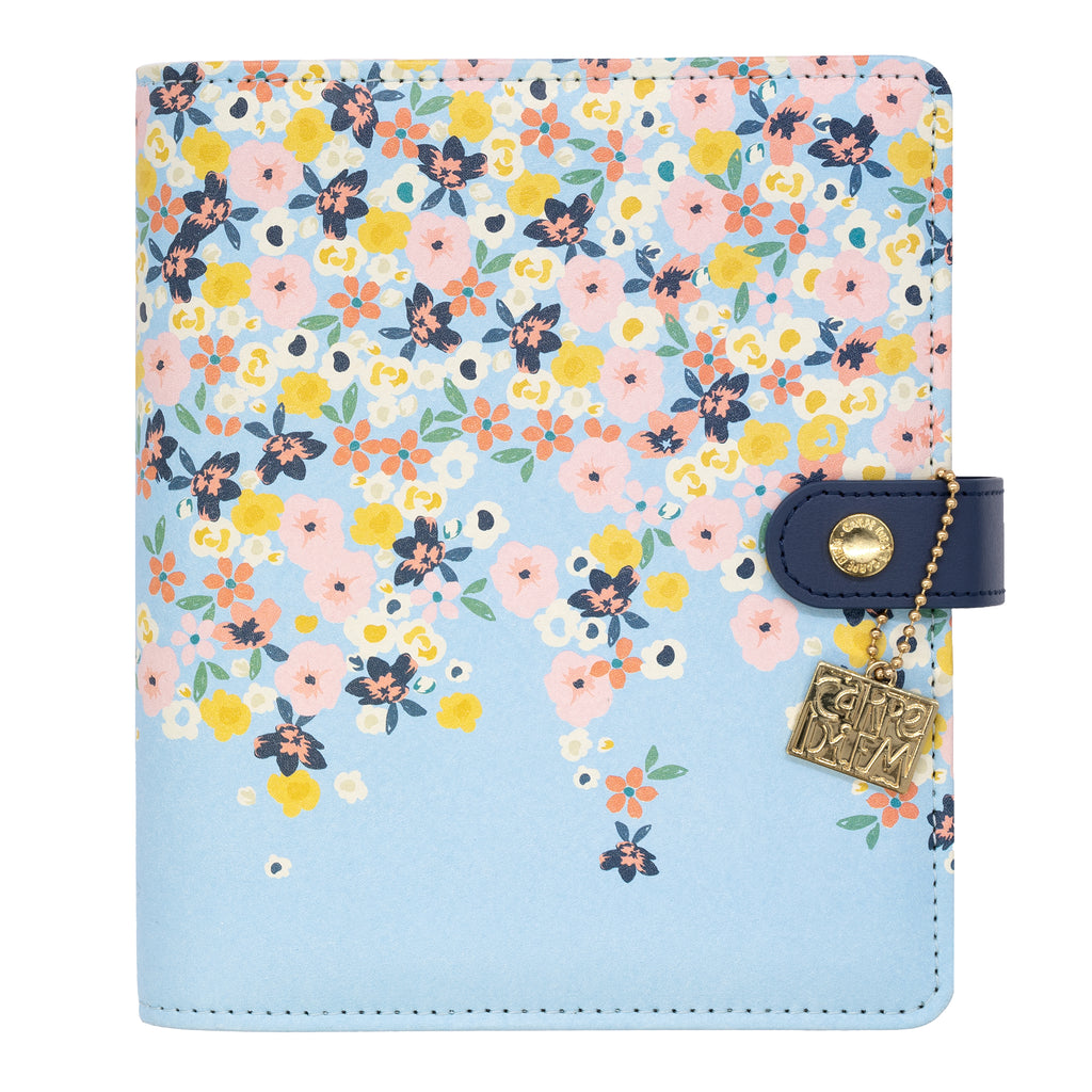 MochiThings: Blue Carpe Diem Planner