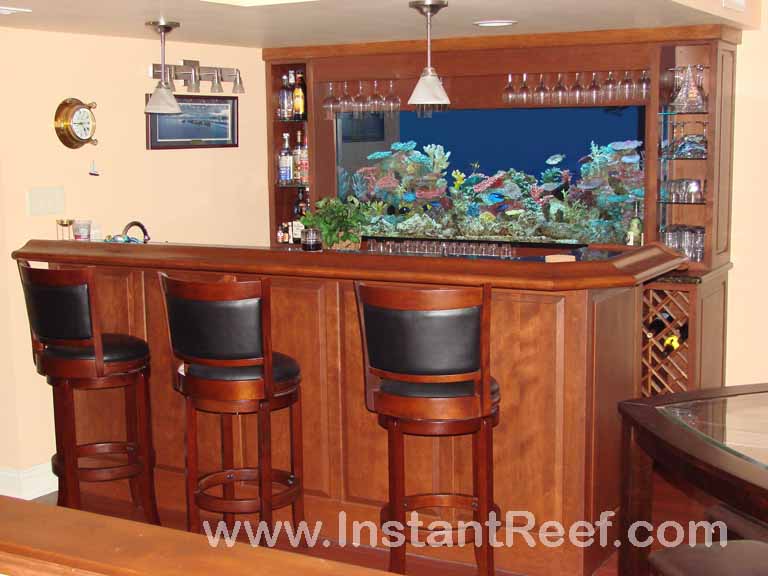 Set up Colorful Customized Aquariums at saltwater fish-only tank cost