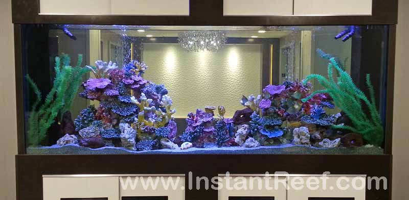 Design Colorful Custom Aquariums, Freshwater Fake Coral Reef Tanks