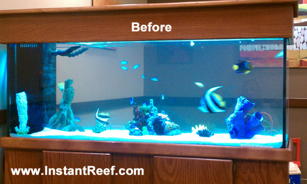 Photos: 90 Gallon Marine Fish Tank Design Upgrade with Fake Corals