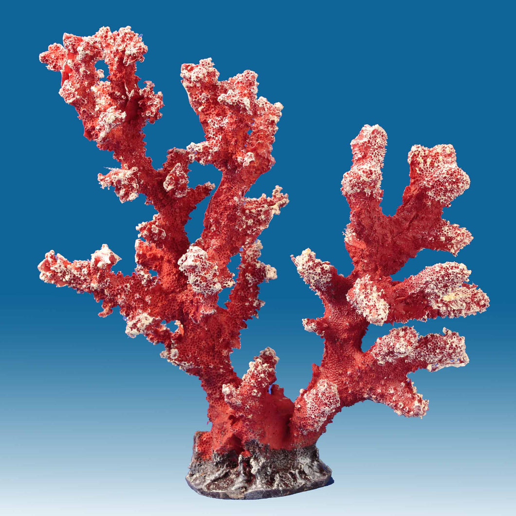 Artificial Corals for Fish Tanks | Instant Reef Aquarium Decorations