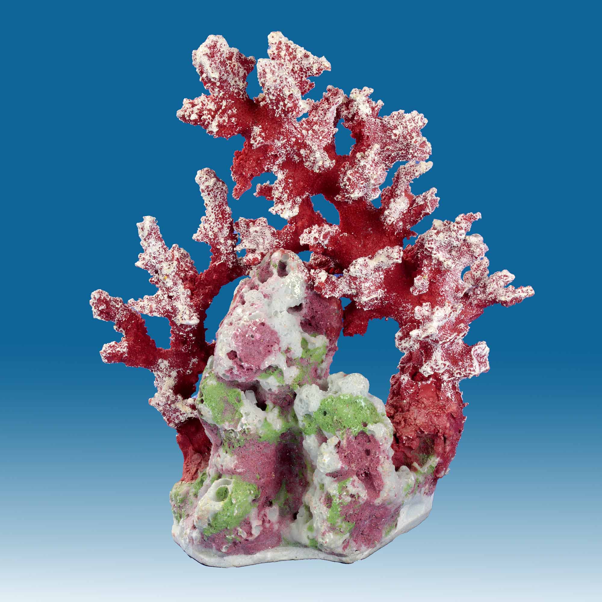 OPTIMUS Reef Nano2-