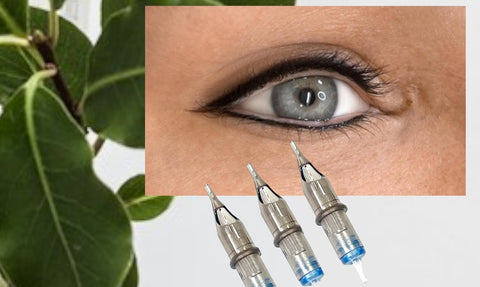 Tattooed Eyeliner using MicropMU Acupuncture Cartridges