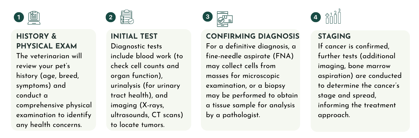 the step of diagnosing dog cancer