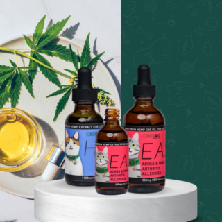CBD Oil for pain relief for cata