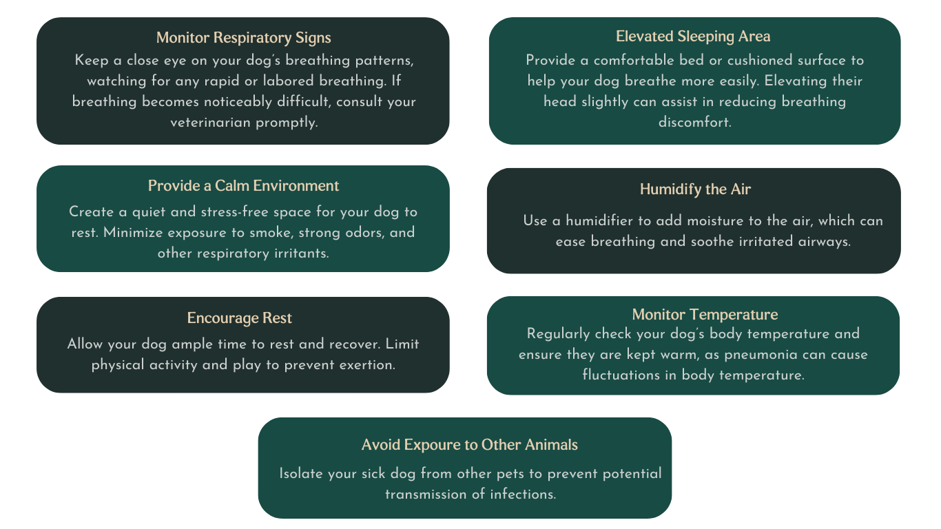 home care tips for dogs with pneumonia