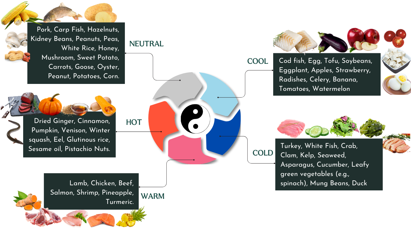 Energetics of food chart