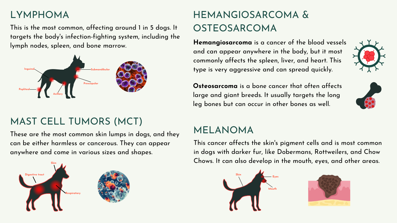 common types of cancer in dogs