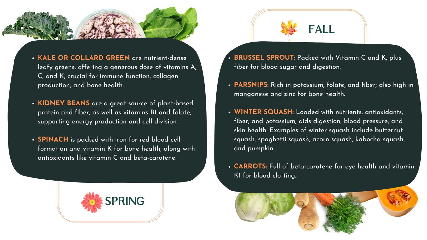 Seasonal eating for pets - spring and fall