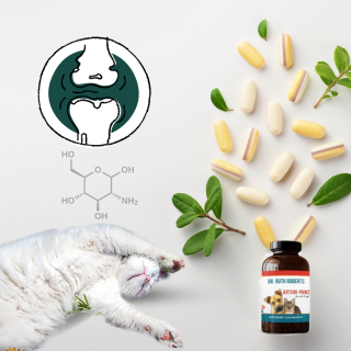 cat joint supplement with glucosamine