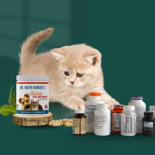 supplement for cat